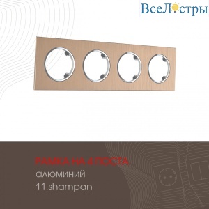 502.11-4.shampan