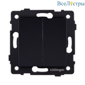 REA-S-009BK