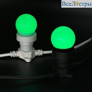 LAMP1-2G
