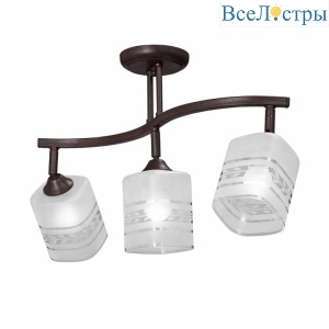 V3729-7/3PL