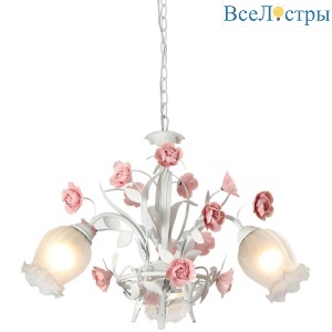 Fiori di rose 106.3