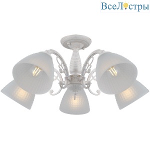IL0232-5CSQ-24 SS SPICA