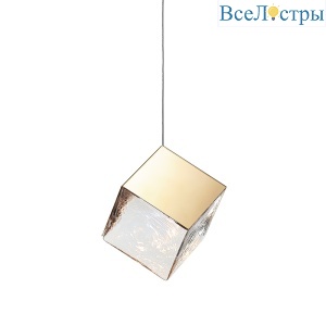 10301P/1 gold