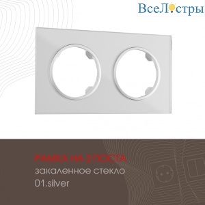 502.01-2.silver