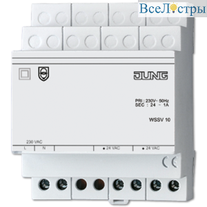 WSSV10