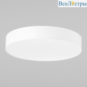 2443 Rondo White