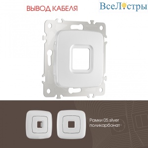 205.49-1.silver