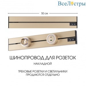 392305TO/50 Gold