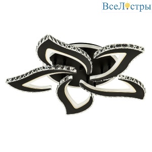L2839-5 BK