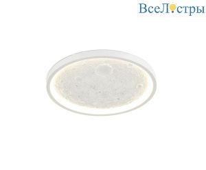V11656-CL