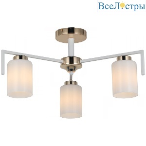 IL8250-3COU-79 WH GD Dora