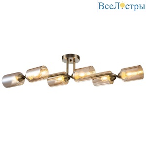 1110/6P Bronze