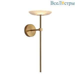 OB2415-1C gold/clear