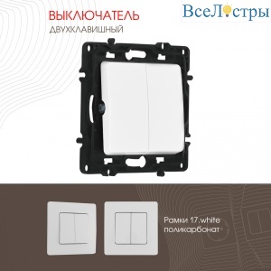 217.30-2.white