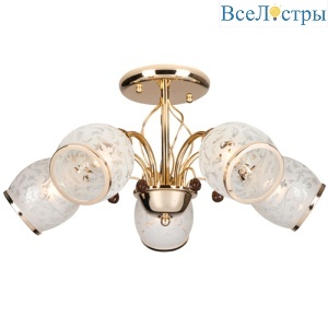 30026/5 золото