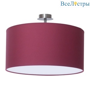 Crocus Glade P1 01 03g