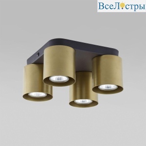 6511 Vico Black Gold
