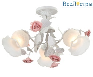 Fiori Di Rose 114.3