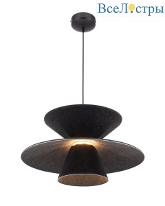 V11101-PL