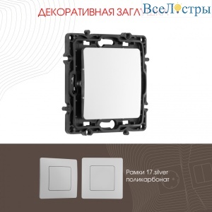 217.50-1.silver