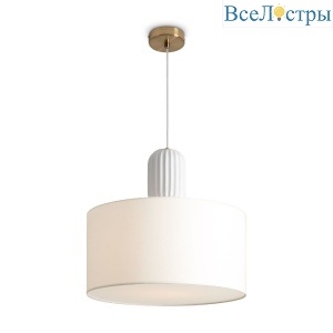 FR5491PL-01BS