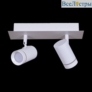 84281-9.5-002RT LED2*5W WT