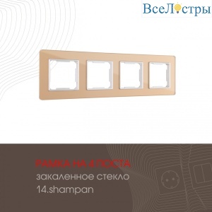 503.14-4.shampan