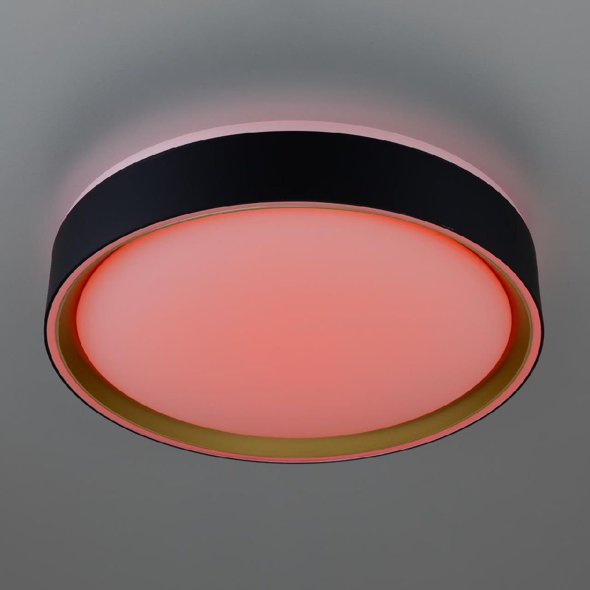 потолочный светильник citilux boss cl751251g