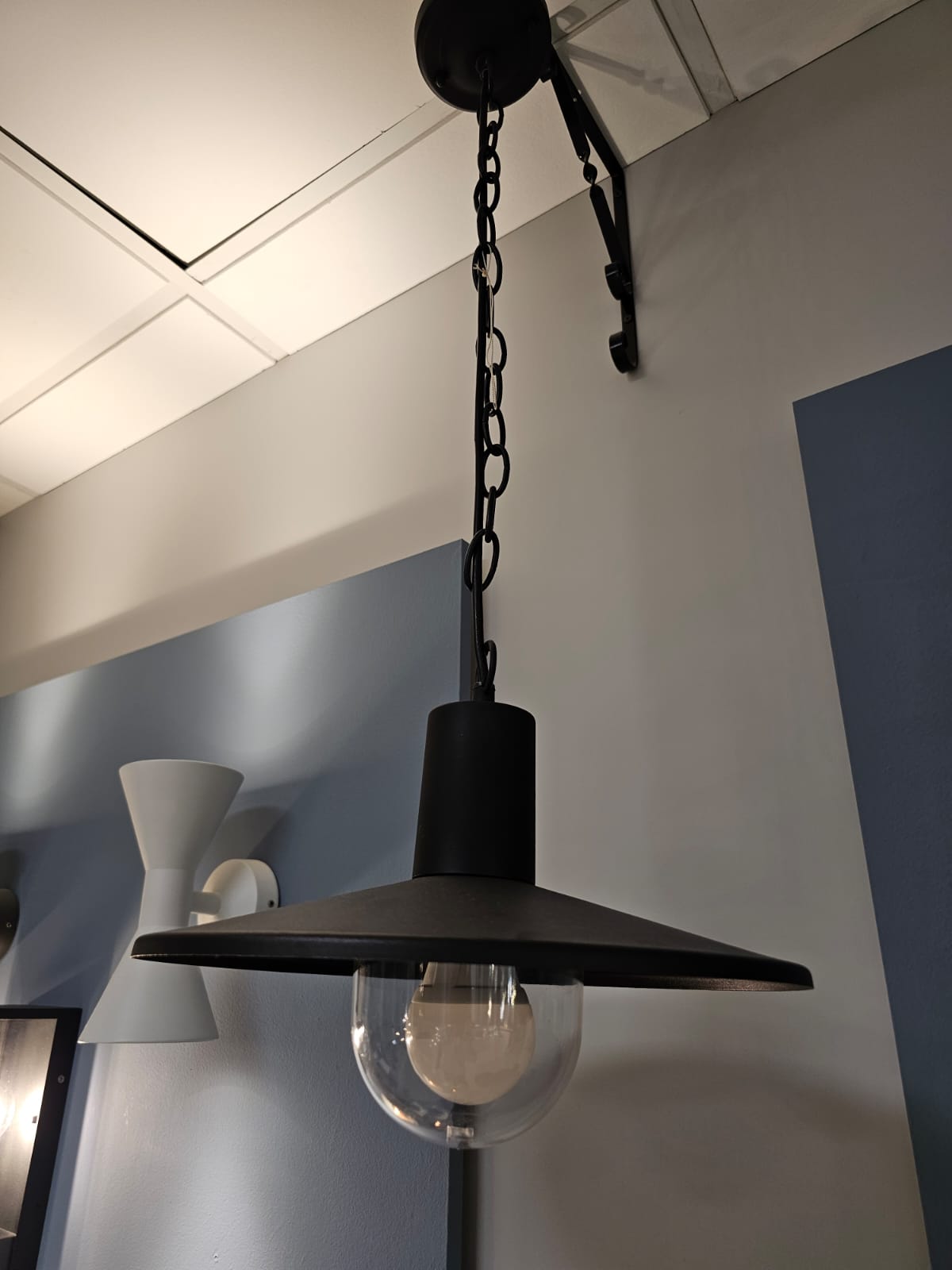 подвесной светильник odeon light furcadia 4833/1