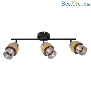 1169/3A Black/Gold