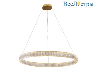 8242N/100 gold