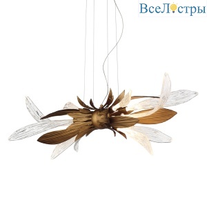 RP168416-11 bronze/clear
