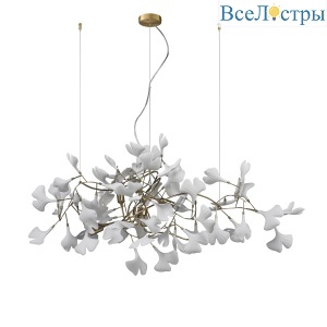10881P/L800 gold/white