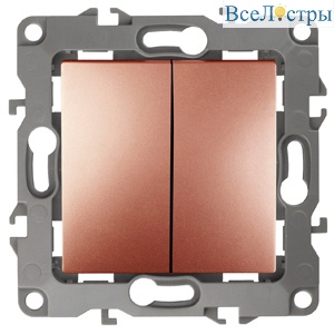 Б0019289