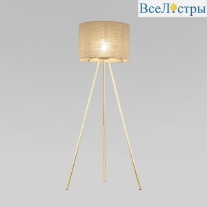 16036 Umberto