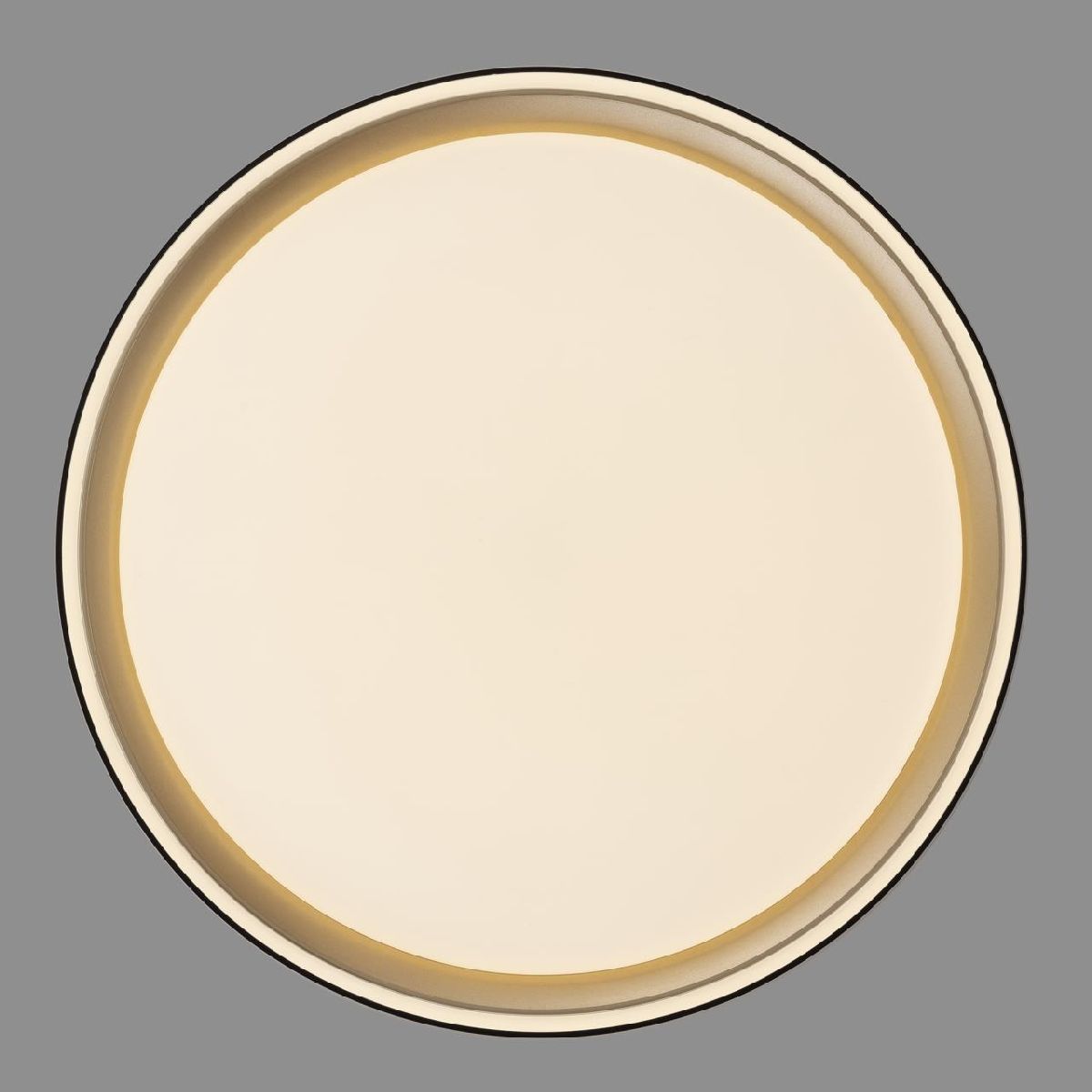 потолочный светильник citilux boss cl751251g