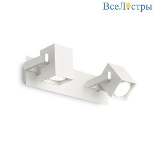 Mouse AP2 Bianco
