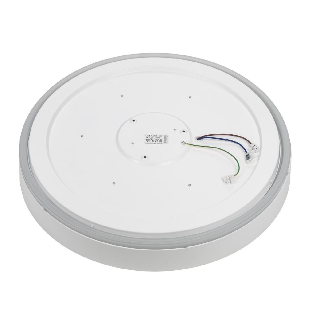 потолочный светильник citilux boss cl751450g