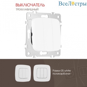 205.30-3.white