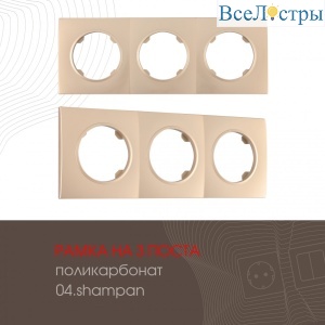 502.04-3.shampan
