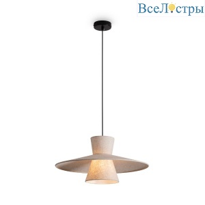 FR5489PL-01BG