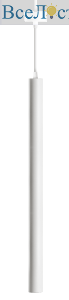 12110204
