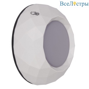 Б0031305