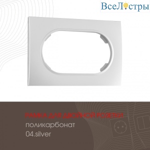 502.04-double.silver