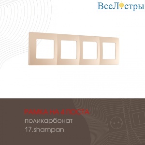 517.17-4.shampan