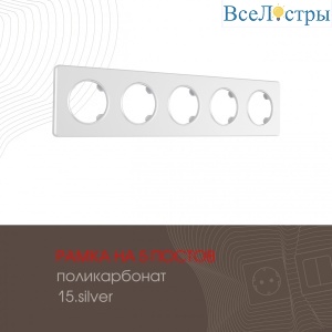 502.15-5.silver
