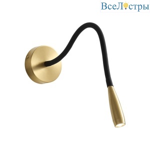 WB015 gold