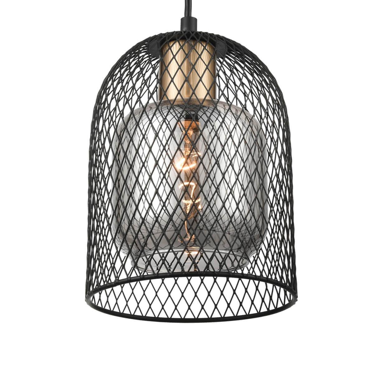 подвесной светильник vele luce diodor vl6402p01