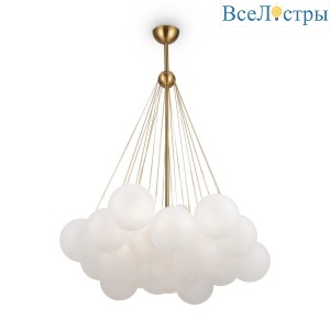 FR5231PL-06BS