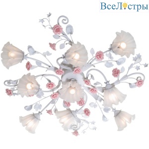 Fiori Di Rose 109.8.1